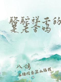 骆驼祥子的作者是老舍吗
