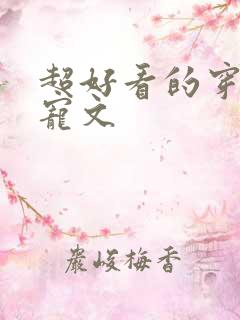 超好看的穿越甜宠文