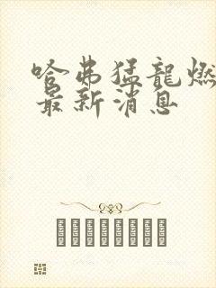 哈弗猛龙燃油版最新消息 哈弗猛龙燃油版最新消息