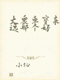 大众车宝来和朗逸哪个好