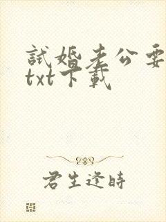 试婚老公要给力txt下载