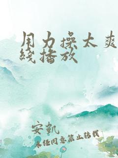 用力操太爽了在线播放
