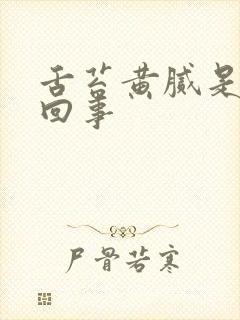舌苔黄腻是怎么回事