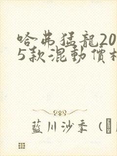 哈弗猛龙2025款混动价格