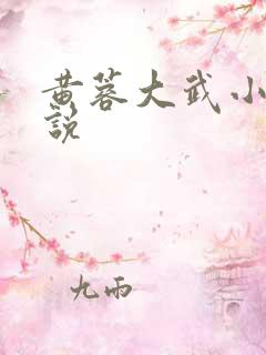 黄蓉大武小武小说