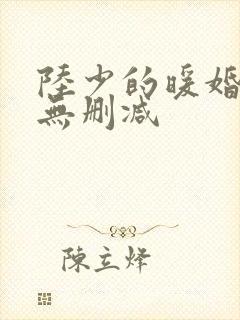 陆少的暖婚新妻无删减