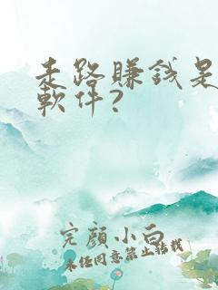 走路赚钱是什么软件?