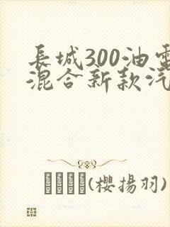 长城300油电混合新款汽车