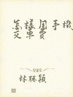怎样用手机付公交车费