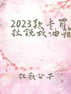 2023款卡罗拉锐放油箱多少升