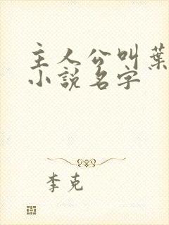 主人公叫叶凡的小说名字
