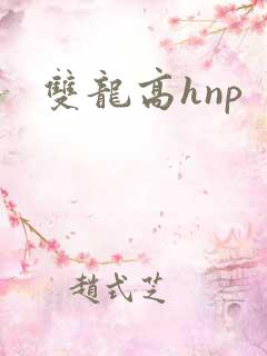 双龙高hnp