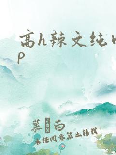 高h辣文纯肉np 高h辣文纯肉np