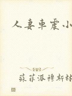 人妻车震小说