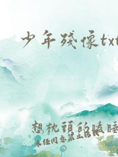少年残像txt
