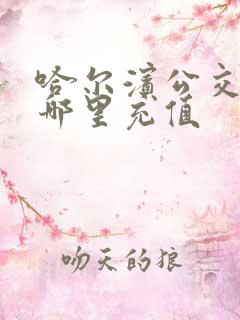 哈尔滨公交卡在哪里充值
