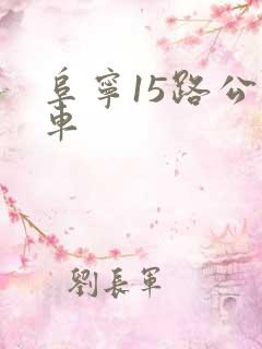 阜宁15路公交车