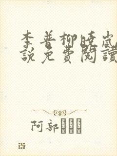 李普柳晓岚的小说免费阅读无弹窗