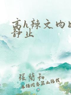 高h辣文肉时间静止