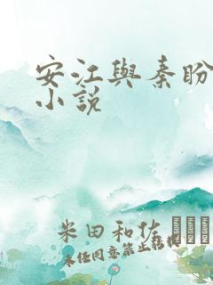 安江与秦盼儿的小说