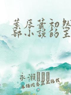 叶辰萧初然是哪部小说的主角