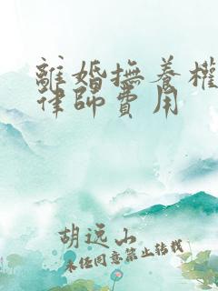离婚抚养权官司律师费用