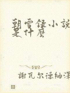 朝雪录小说结局是什么 朝雪录小说结局是什么