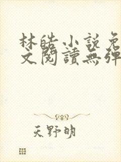 林皓小说免费全文阅读无弹窗