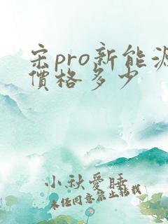 宋pro新能源价格多少