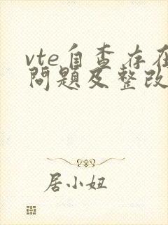 vte自查存在问题及整改措施