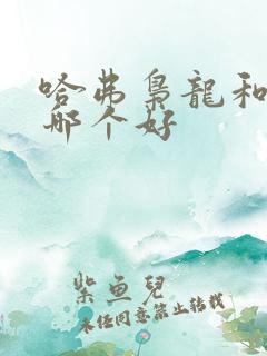 哈弗枭龙和猛龙哪个好