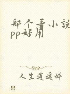 哪个看小说的app好用
