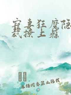 宠妻狂魔隐婚总裁撩上瘾