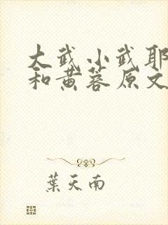 大武小武耶律齐和黄蓉原文