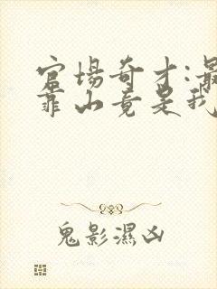 官场奇才:最强靠山竟是我自己》
