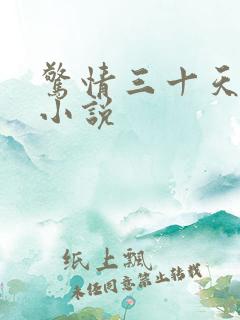 惊情三十天龟甲小说