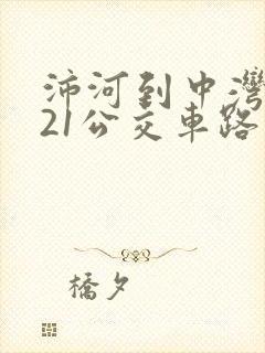 沛河到中湾的121公交车路线
