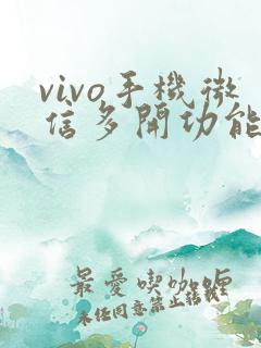 vivo手机微信多开功能在哪里 vivo手机微信多开功能在哪里