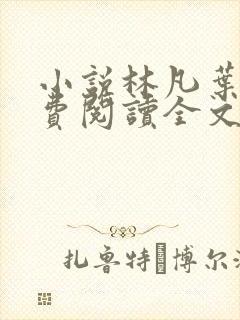 小说林凡叶惜免费阅读全文最新章节