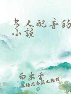 多人配音的有声小说