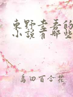 东野圭吾的推理小说有哪些