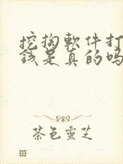 挖掏软件打字赚钱是真的吗