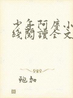 少年阿庆小说在线阅读全文