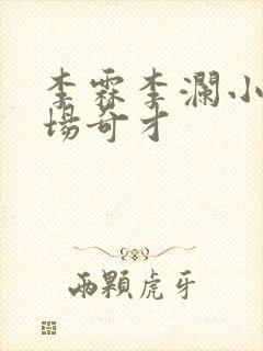 李霖李澜小说官场奇才