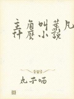 主角叫叶凡的是什么小说