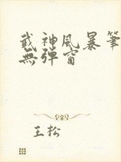 武神风暴笔趣阁无弹窗