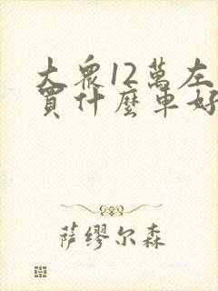 大众12万左右买什么车好