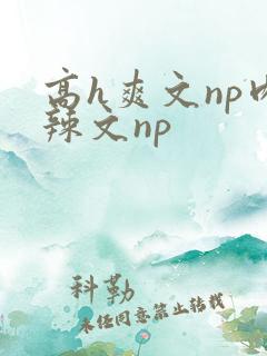 高h爽文np肉辣文np