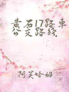 黄石17路车的公交路线