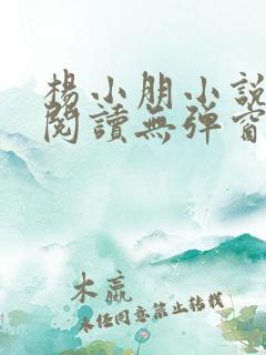 杨小朋小说免费阅读无弹窗